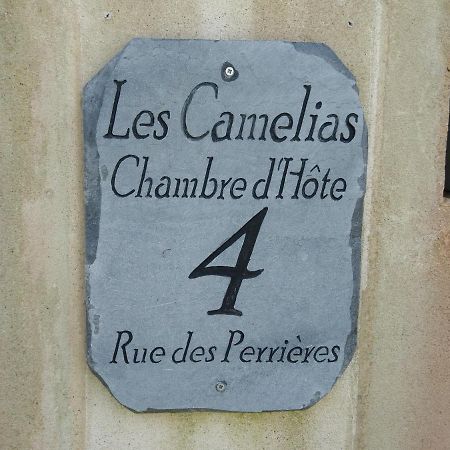 Les Camelias Bed & Breakfast Binic Dış mekan fotoğraf